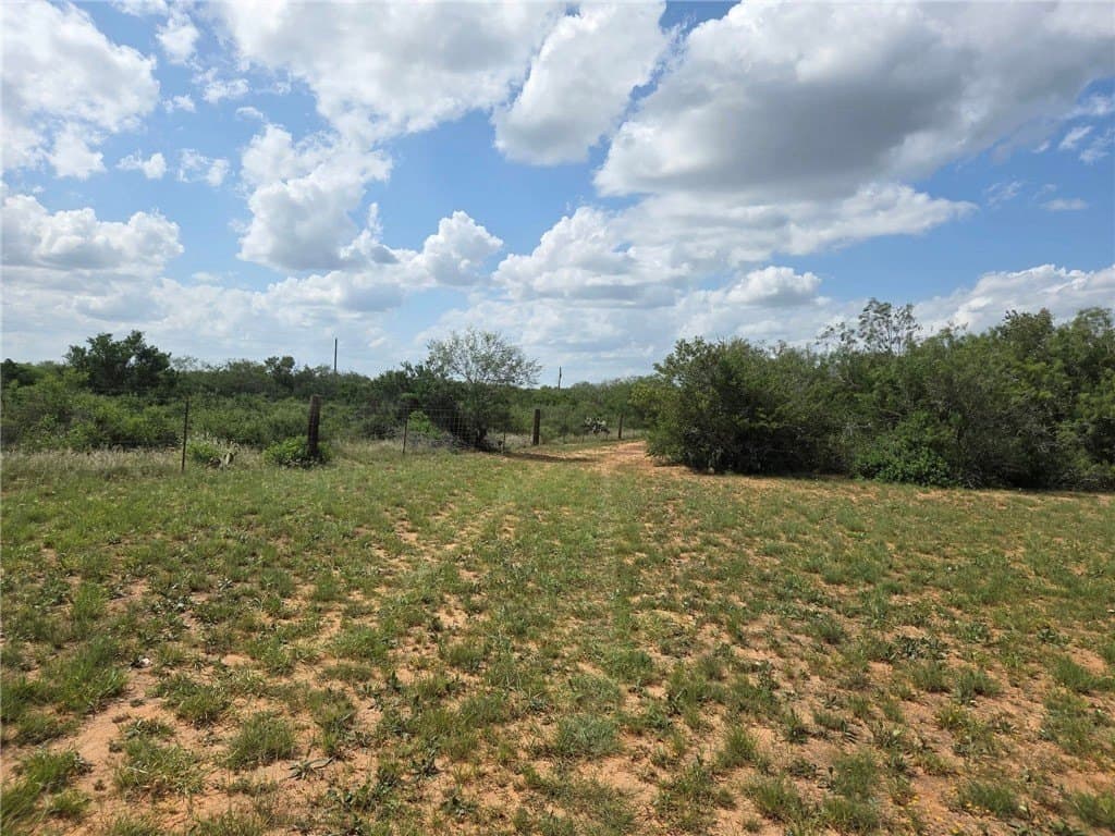 12 acres in Duval County - photo 2