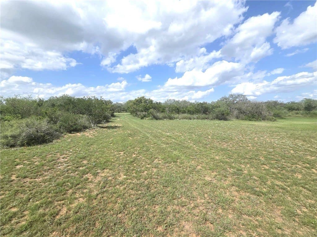 12 acres in Duval County - photo 4