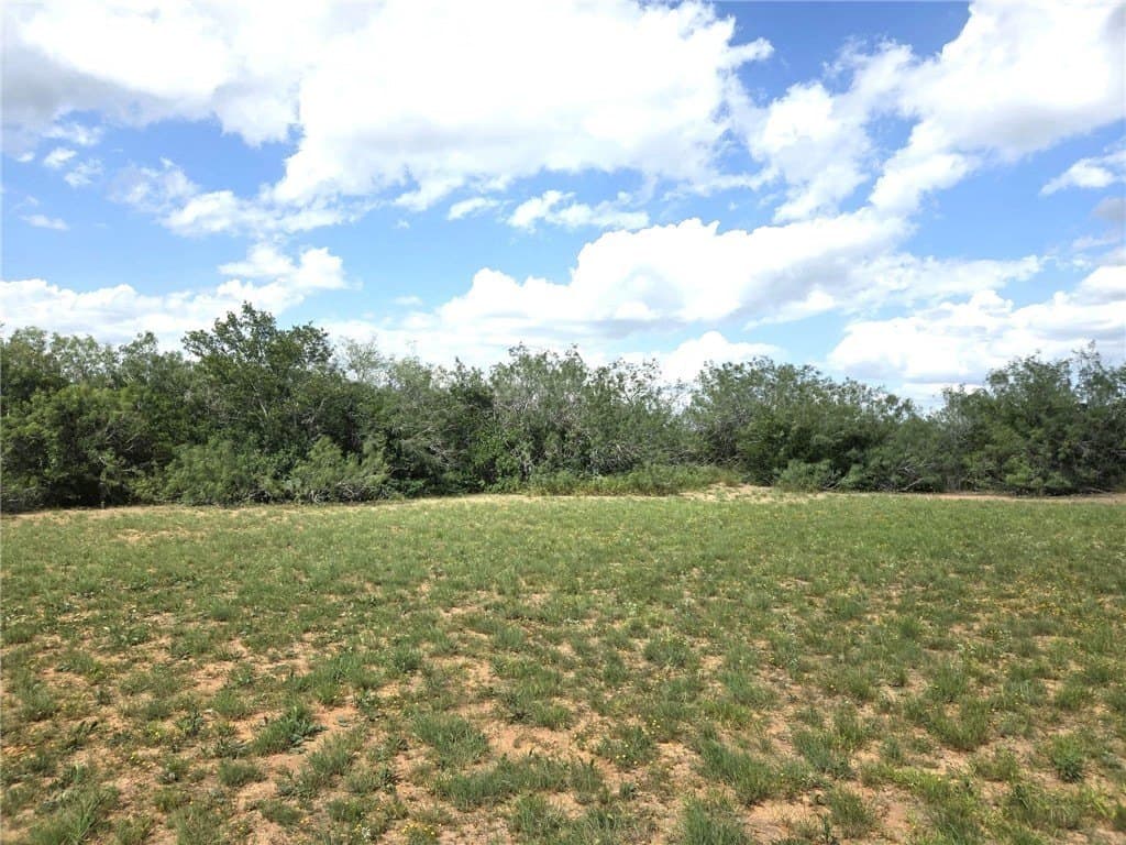 12 acres in Duval County - photo 3