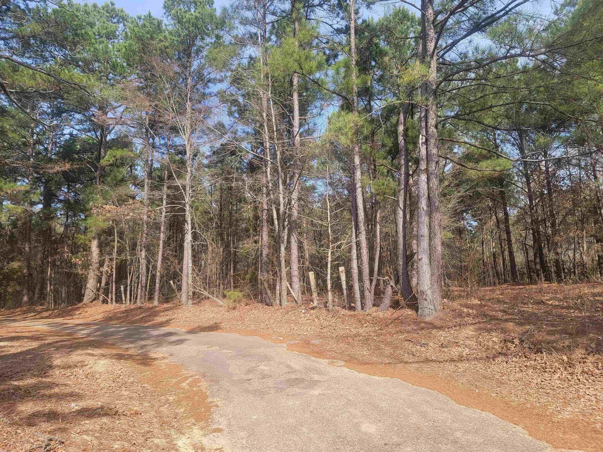 11.69 acres in Upshur County - photo 7