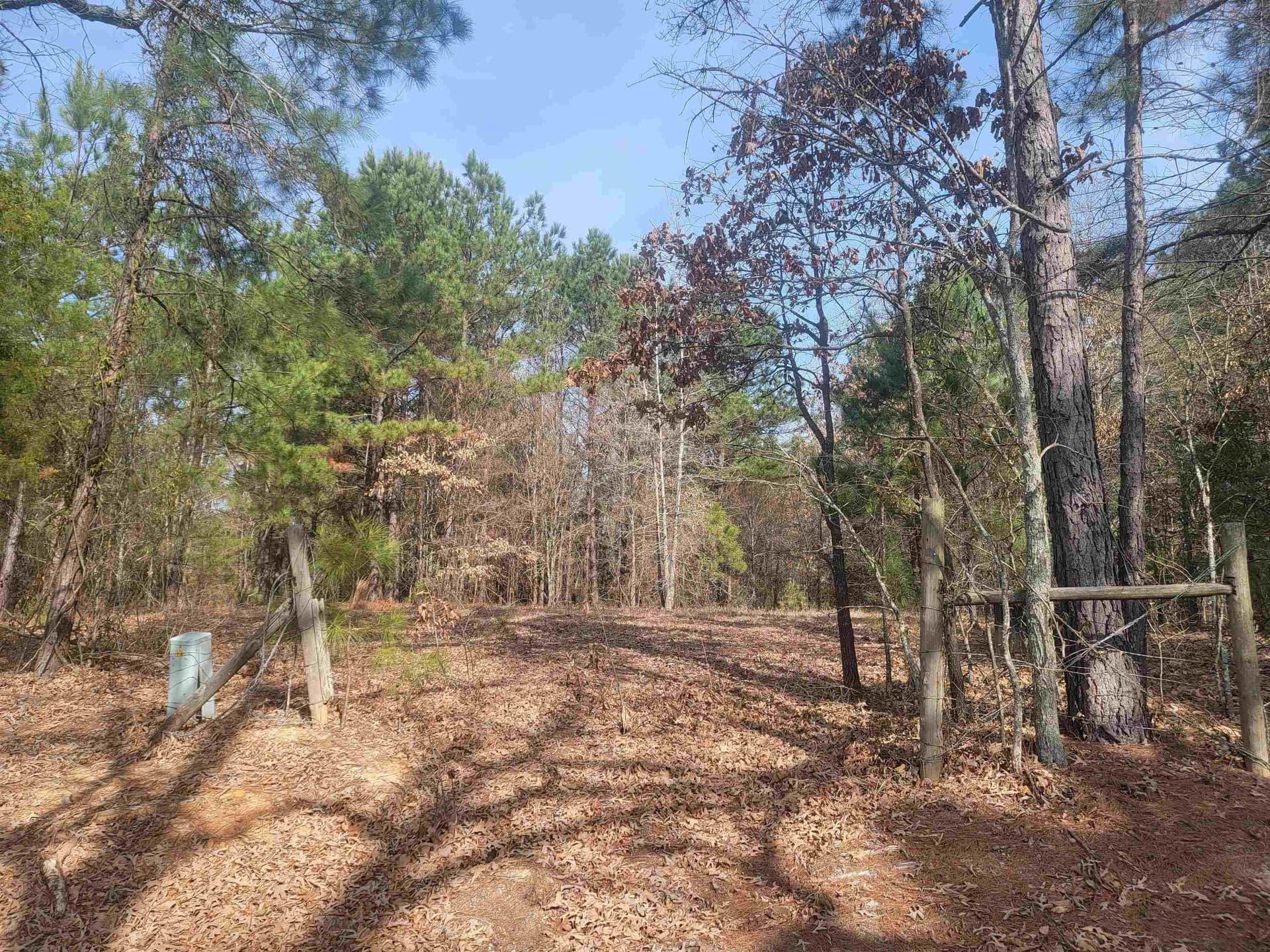 11.69 acres in Upshur County - photo 3