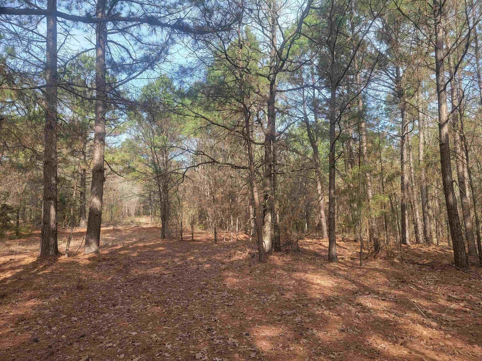 11.69 acres in Upshur County - photo 6