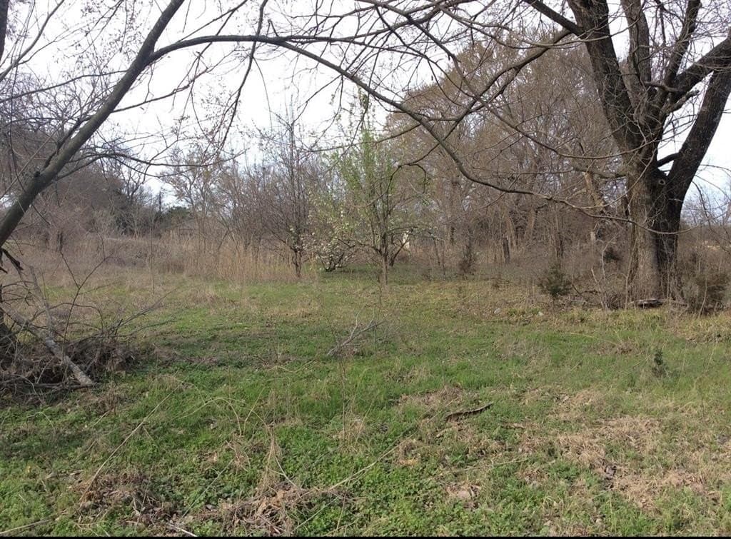 1.53 acres in Fannin County - photo 16