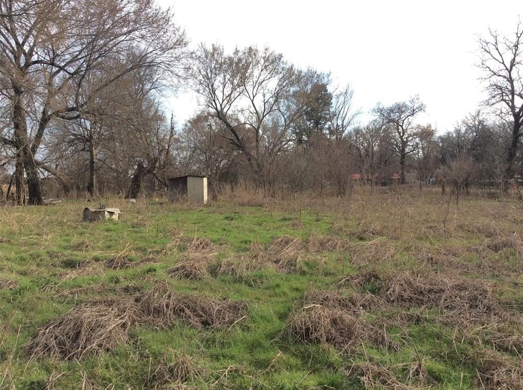 1.53 acres in Fannin County - photo 7