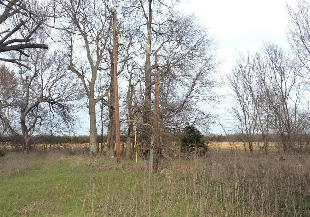 1.53 acres in Fannin County - photo 17