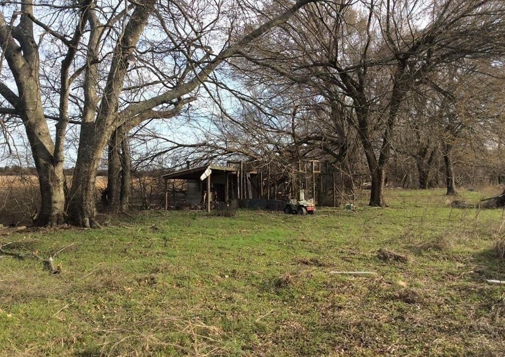 1.53 acres in Fannin County - photo 12
