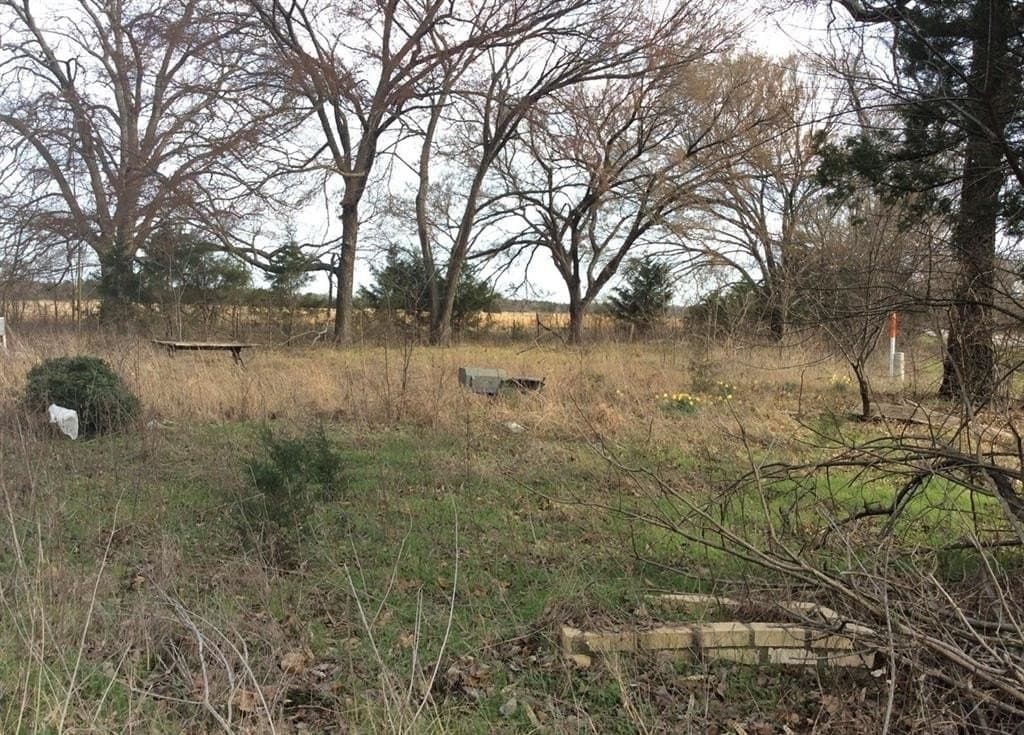1.53 acres in Fannin County - photo 15