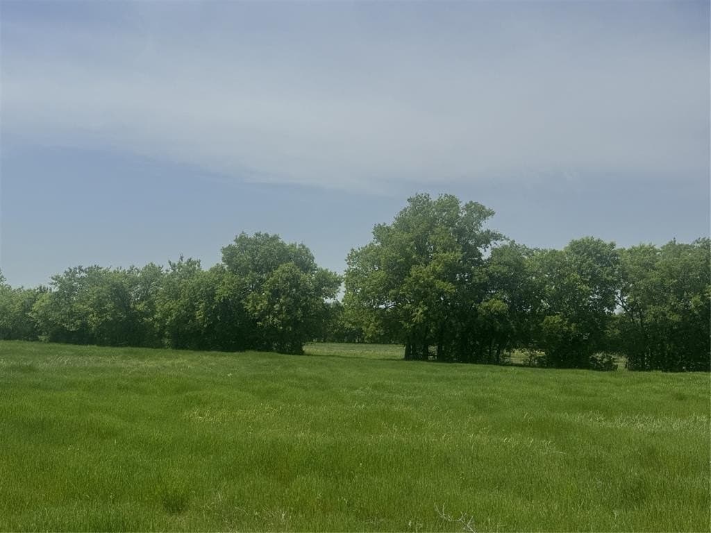 10.11 acres in Wise County - photo 6
