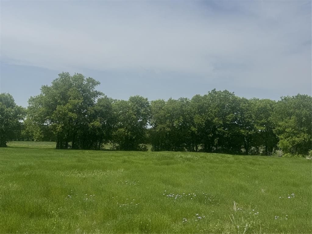 10.11 acres in Wise County - photo 5