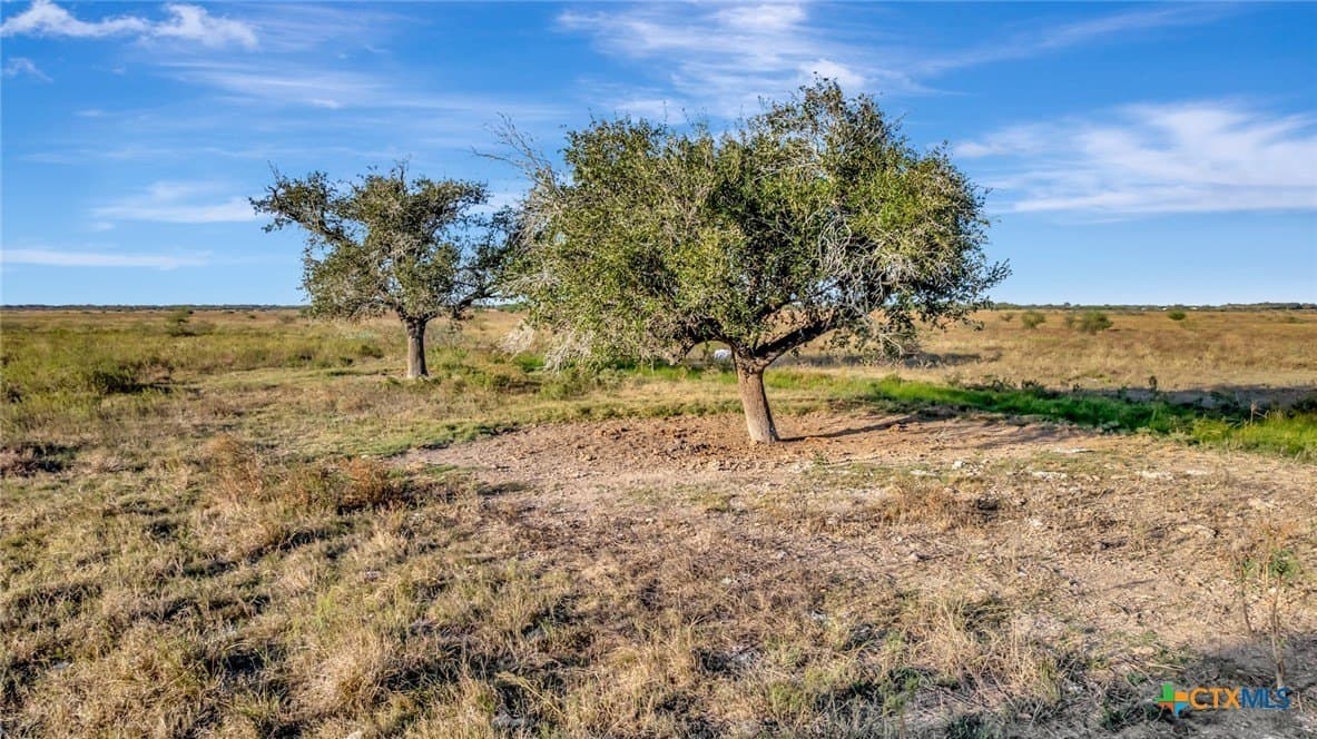 10.32 acres in Victoria County - photo 11