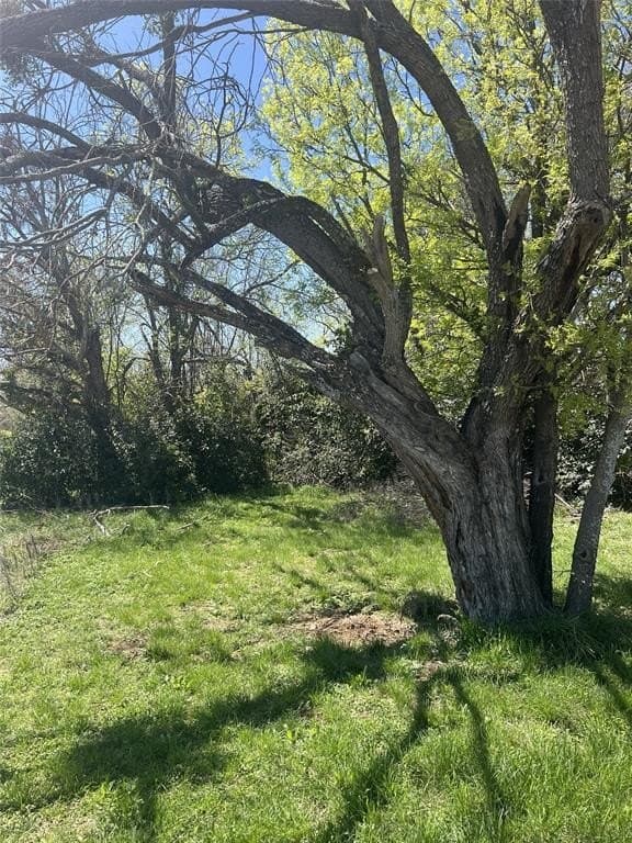 0.17 acres in Brown County - photo 8