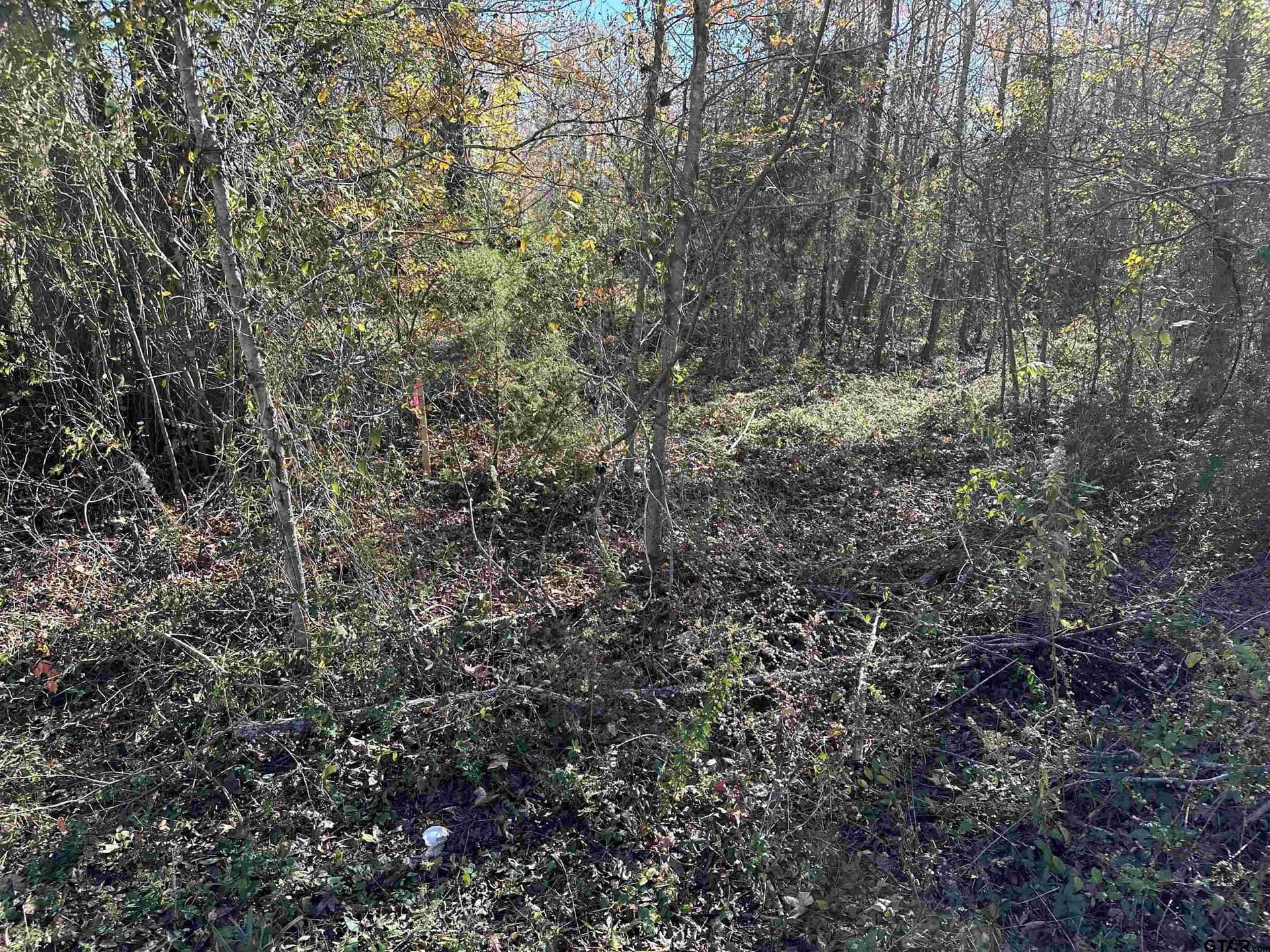0.33 acres in Cherokee County - photo 4
