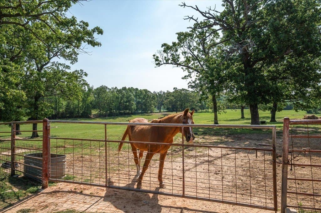 24.84 acres in Van Zandt County - photo 40