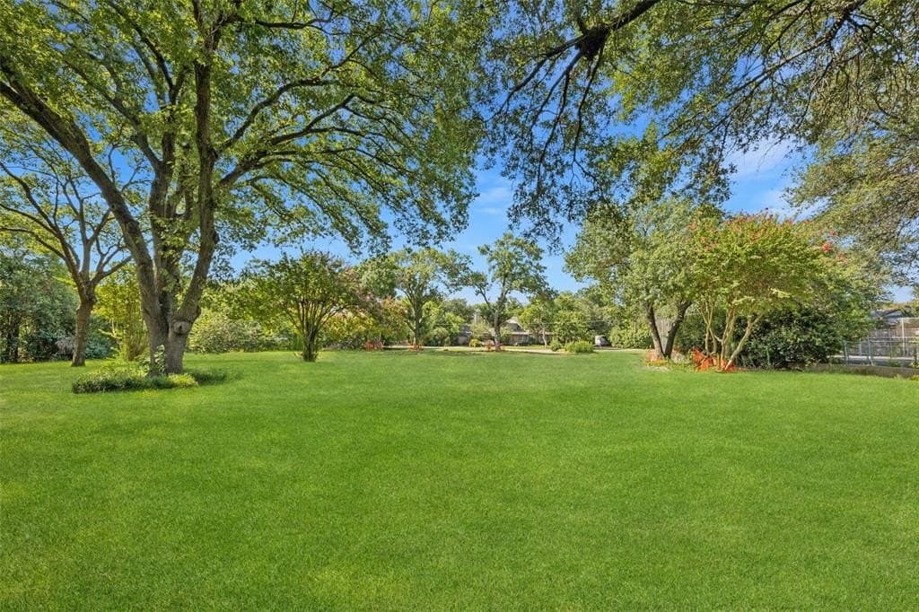1.16 acres in Dallas County - photo 4