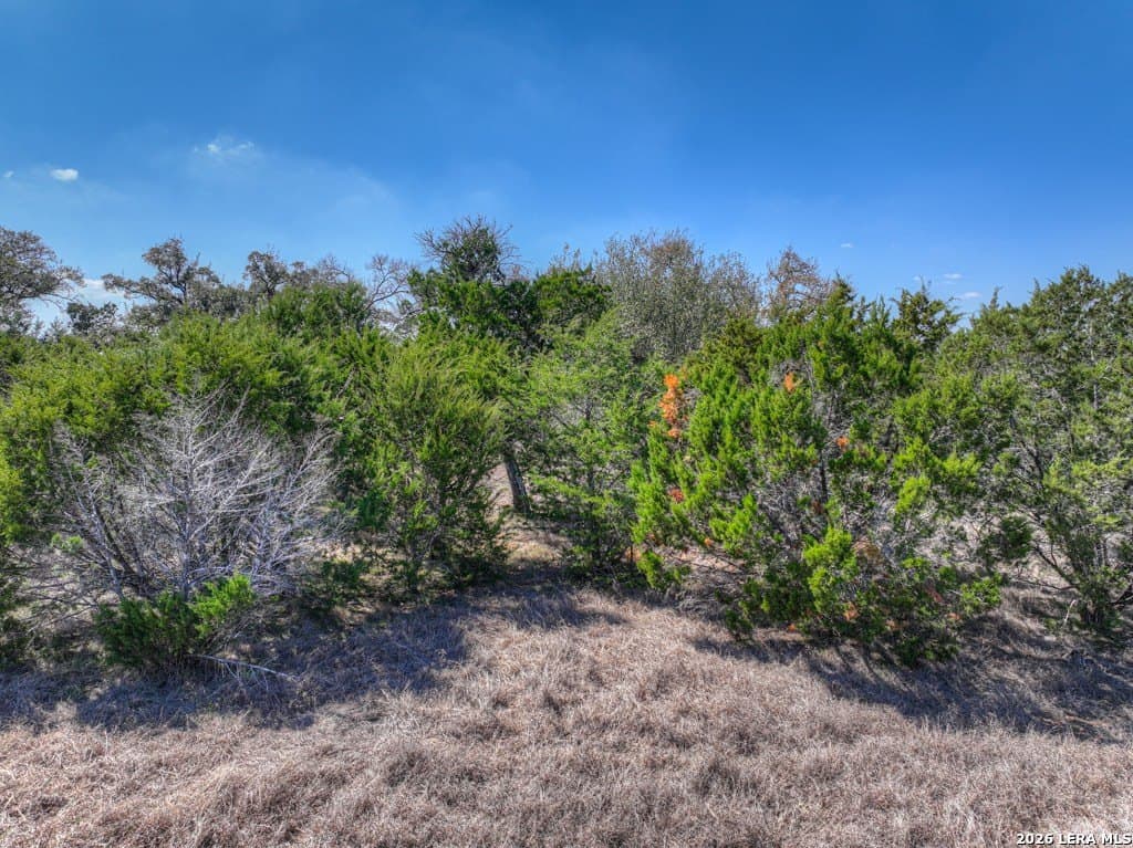 1.18 acres in Comal County - photo 24