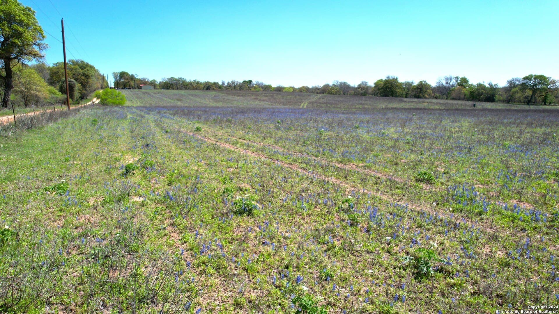 15 acres in Wilson County - photo 8
