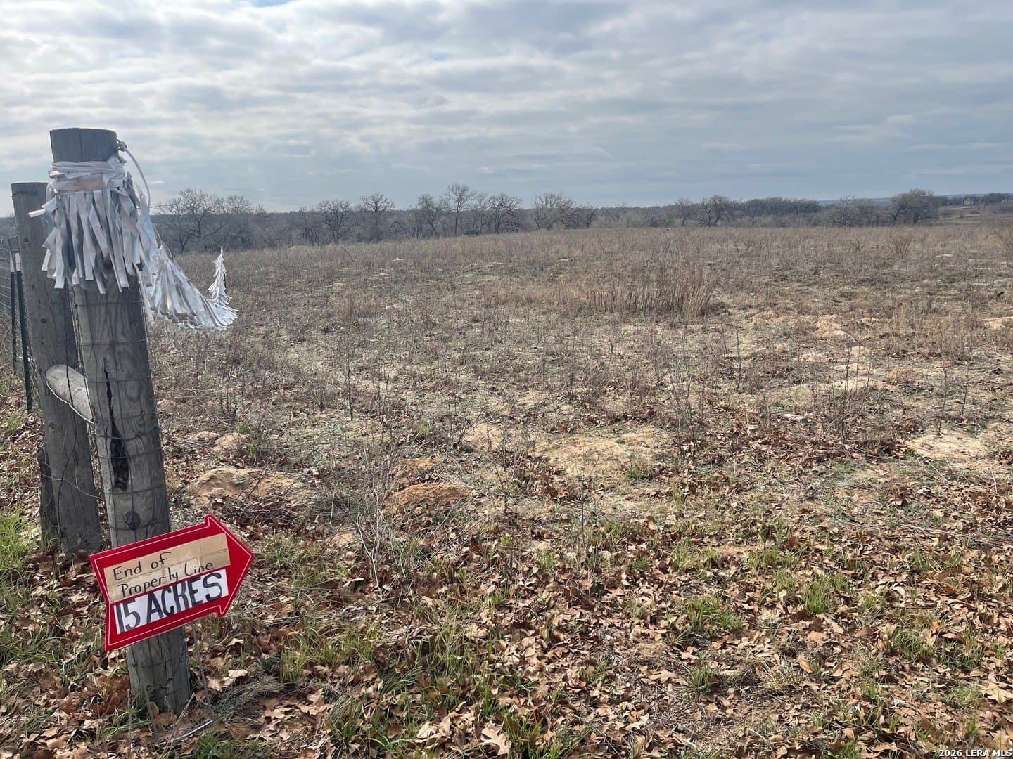15 acres in Wilson County - photo 12