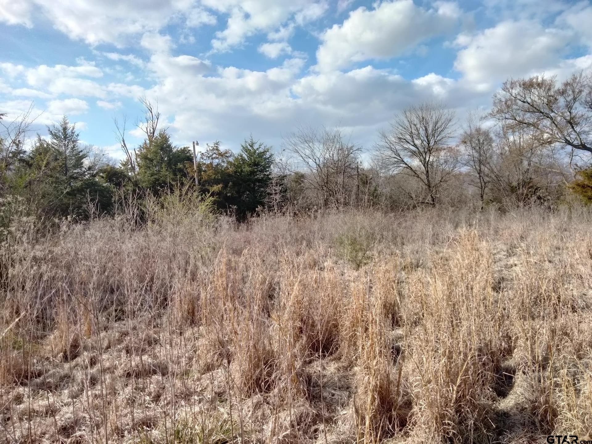 5.49 acres in Red River County - photo 3