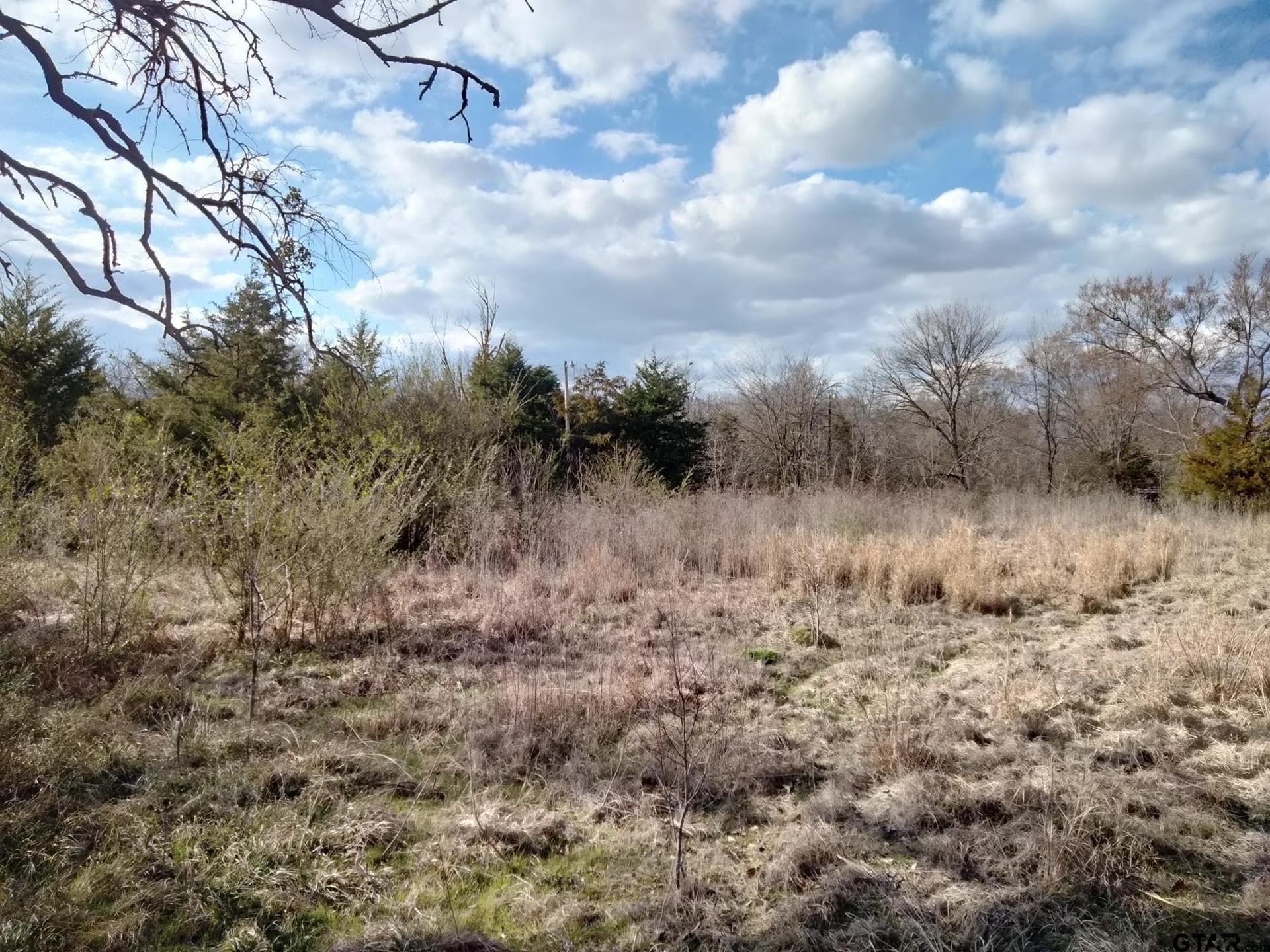5.49 acres in Red River County - photo 5