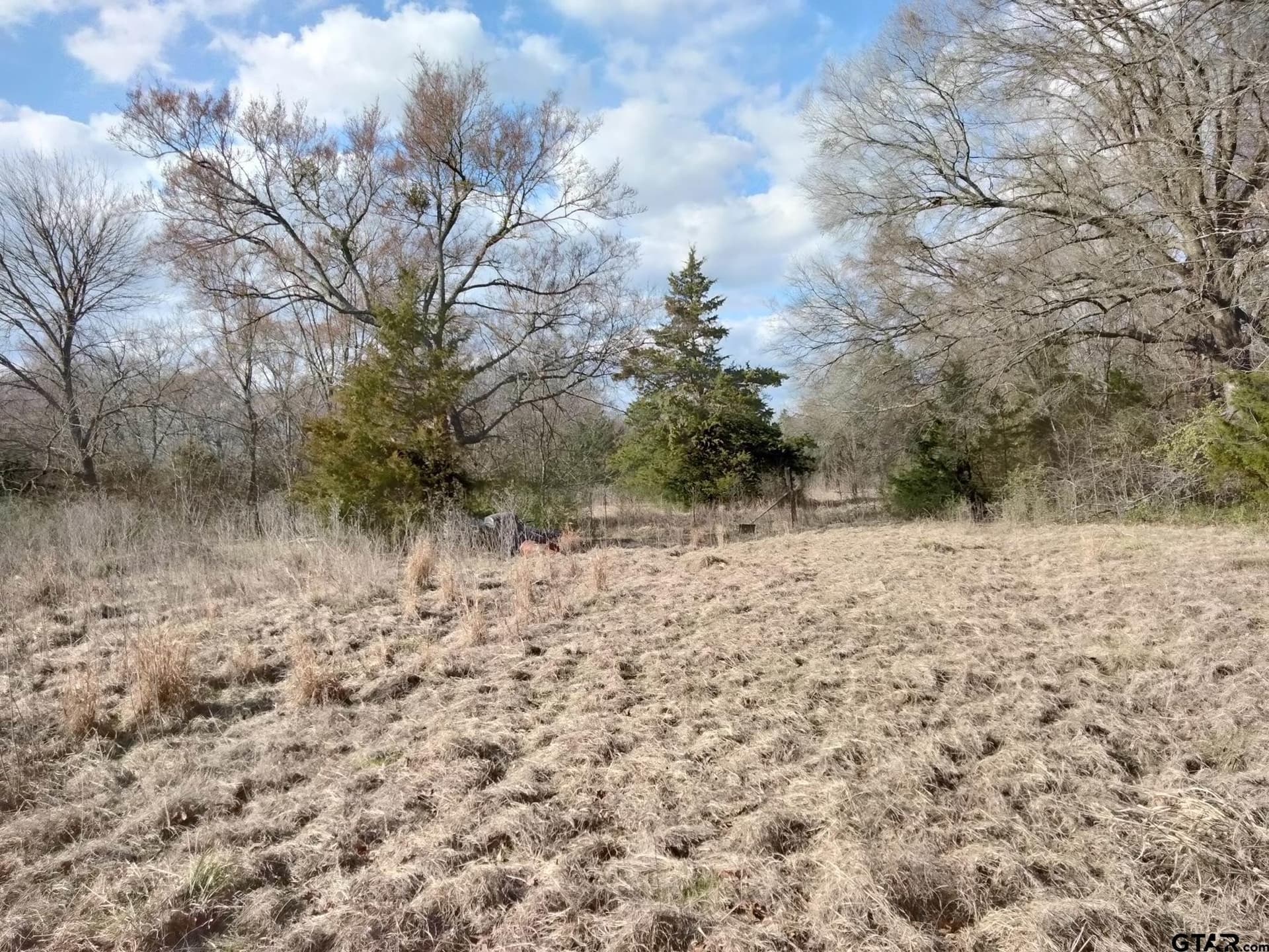 5.49 acres in Red River County - photo 2