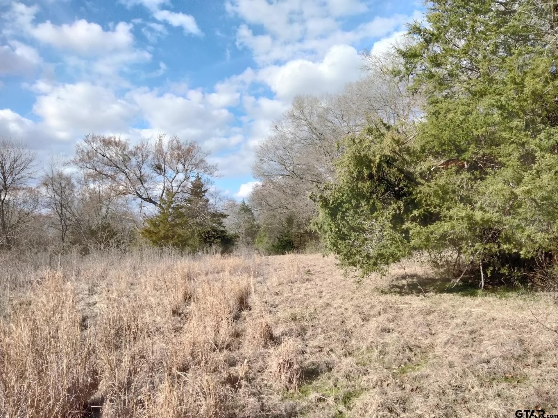 5.49 acres in Red River County - photo 4