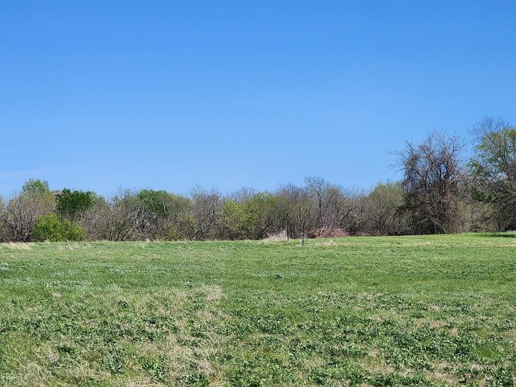 17.4 acres in Collin County - photo 11