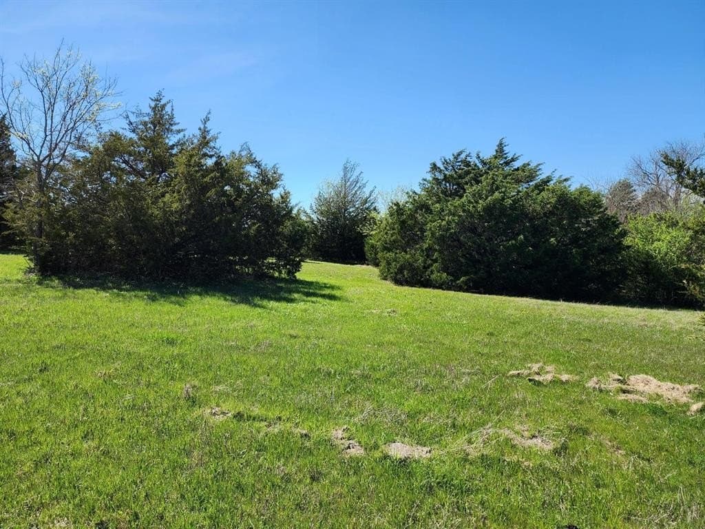 17.4 acres in Collin County - photo 16