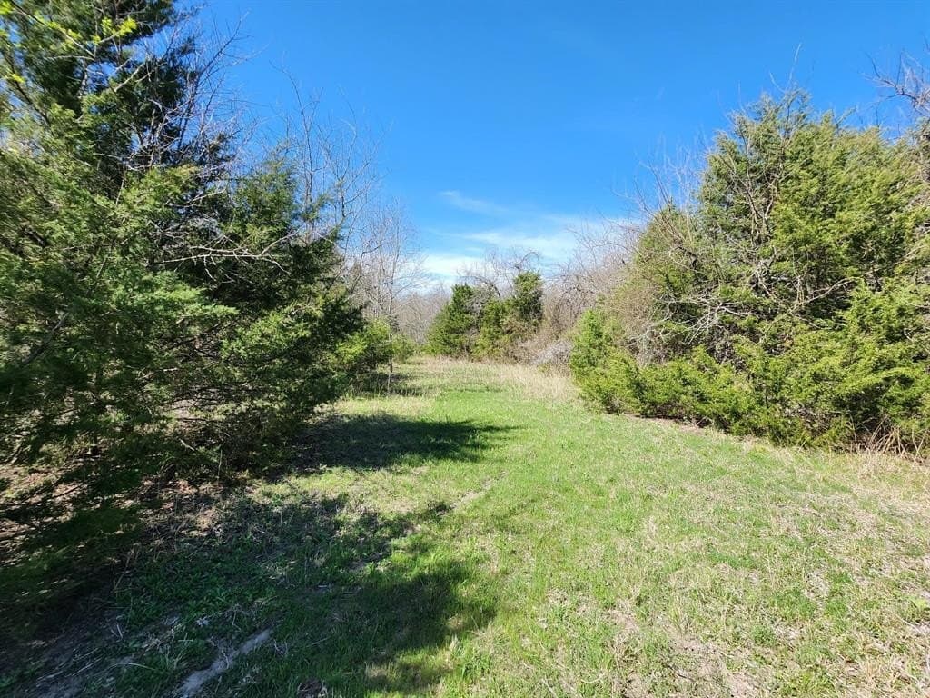 17.4 acres in Collin County - photo 20
