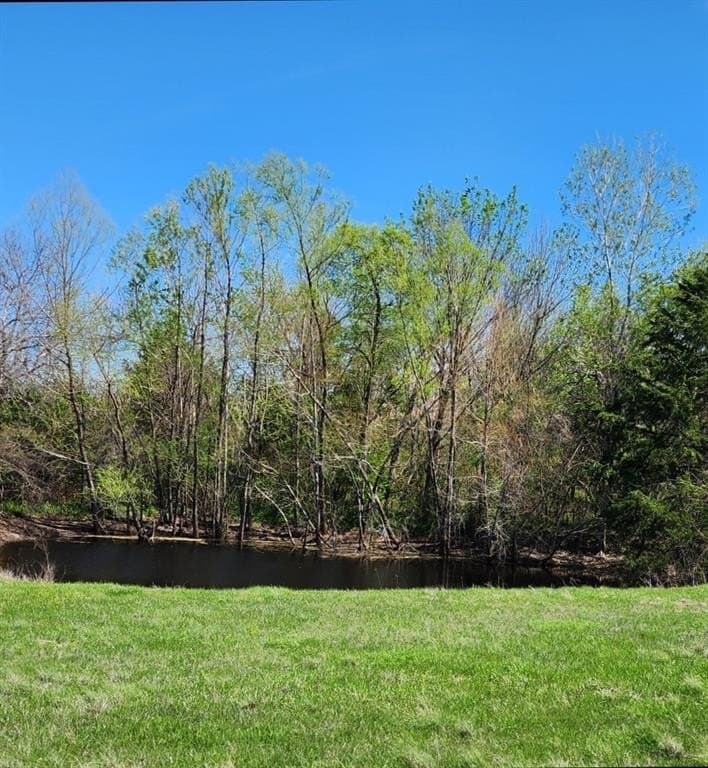 17.4 acres in Collin County - photo 7