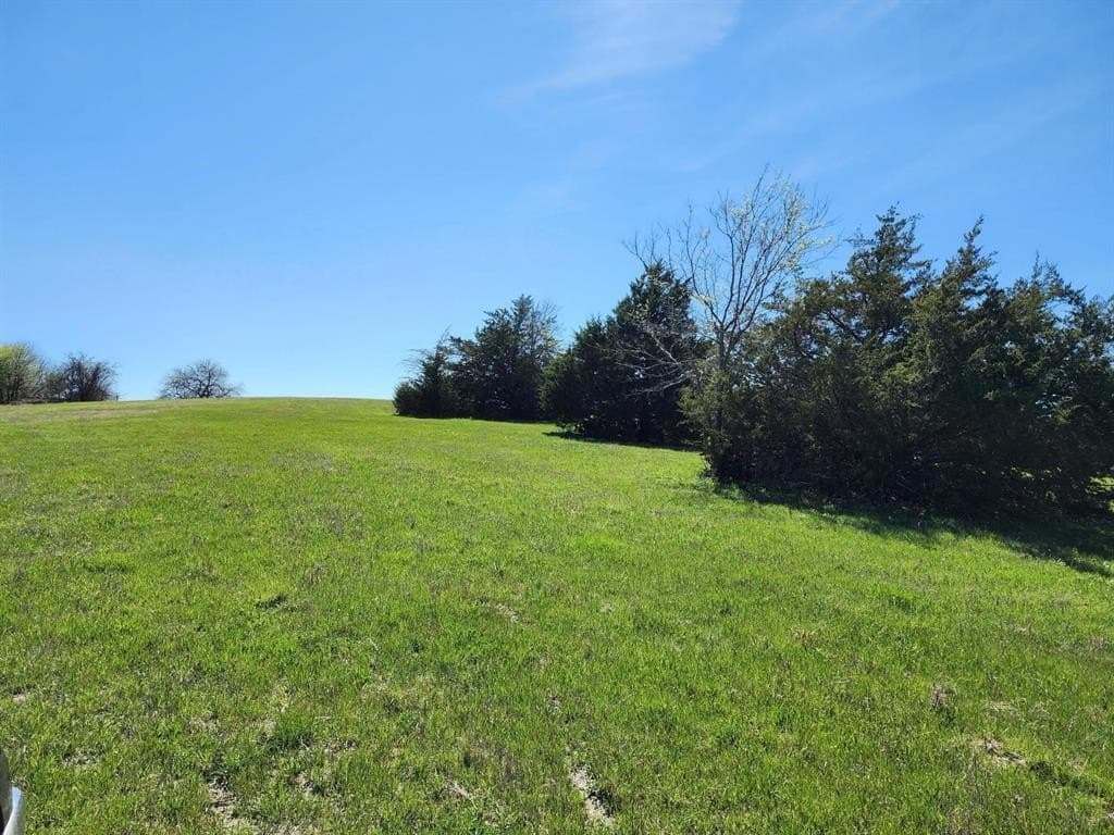 17.4 acres in Collin County - photo 12