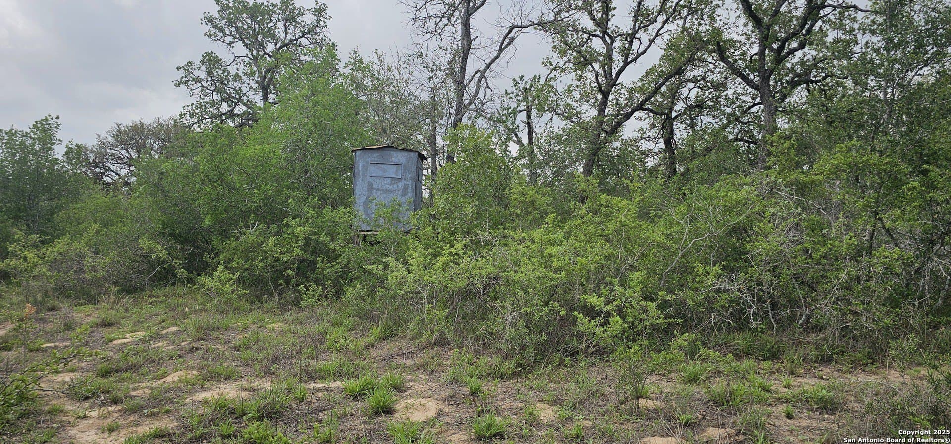 13.01 acres in Atascosa County - photo 31