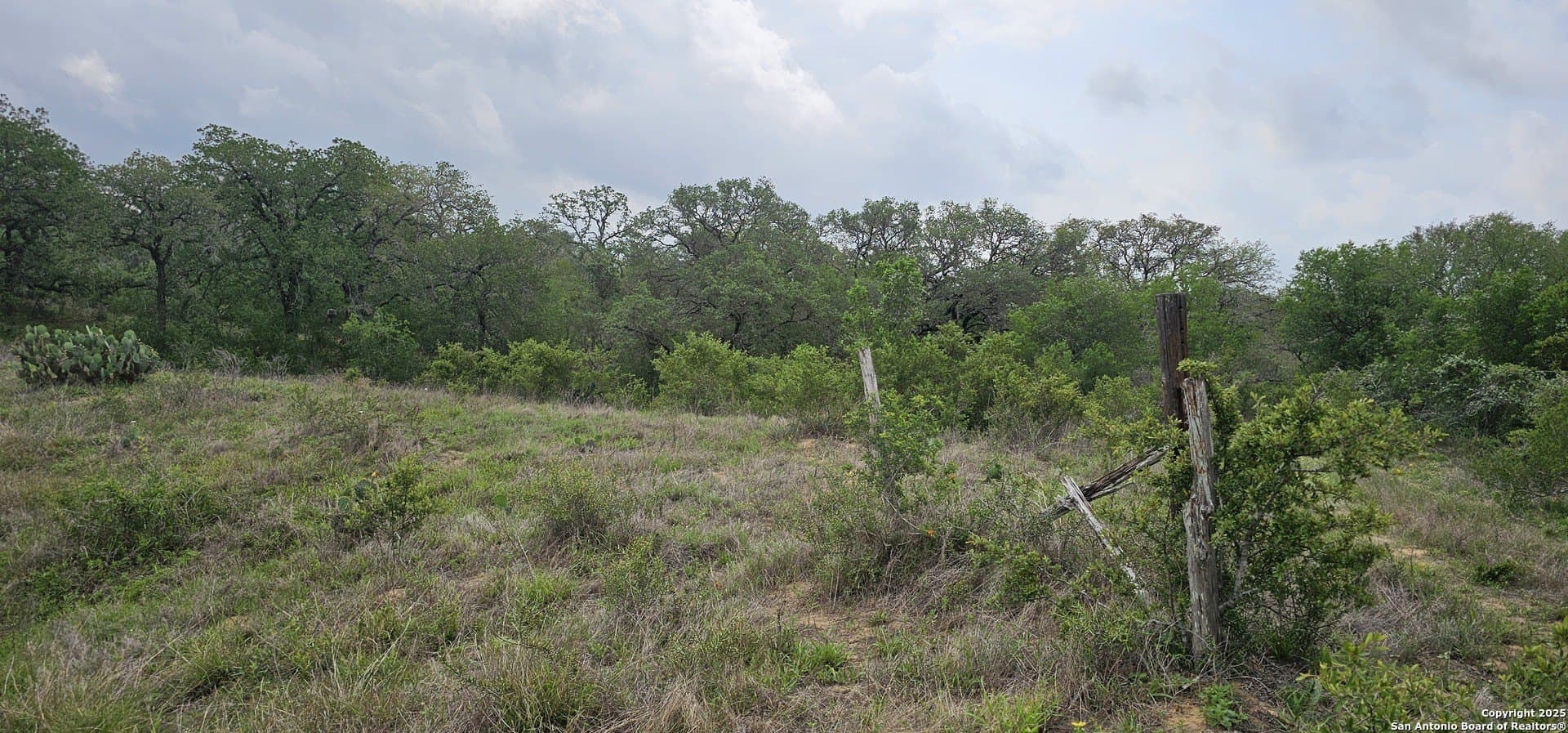 13.01 acres in Atascosa County - photo 8