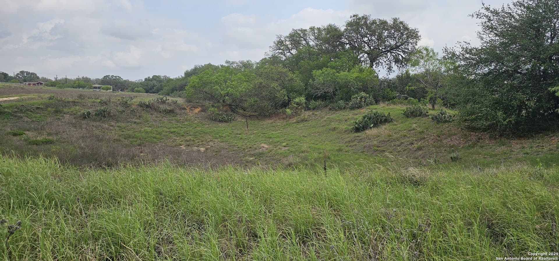 13.01 acres in Atascosa County - photo 34