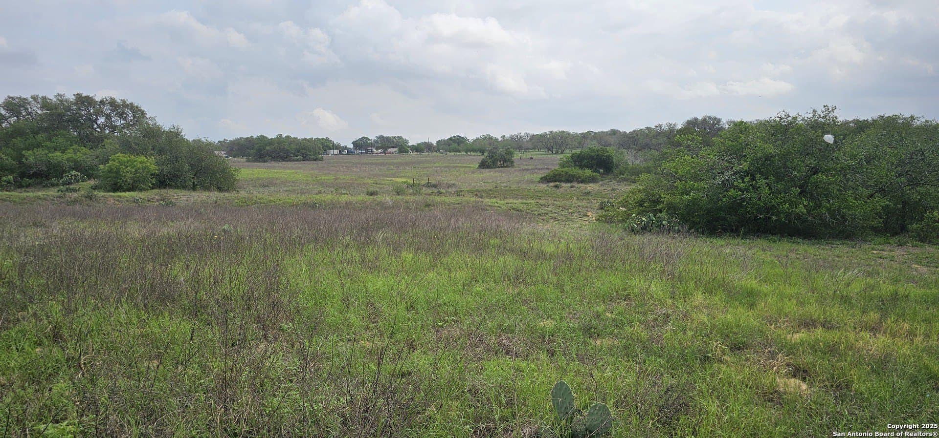 13.01 acres in Atascosa County - photo 27