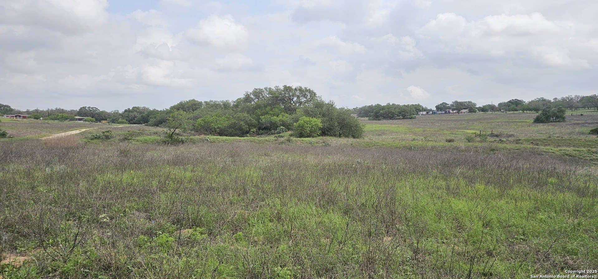 13.01 acres in Atascosa County - photo 29