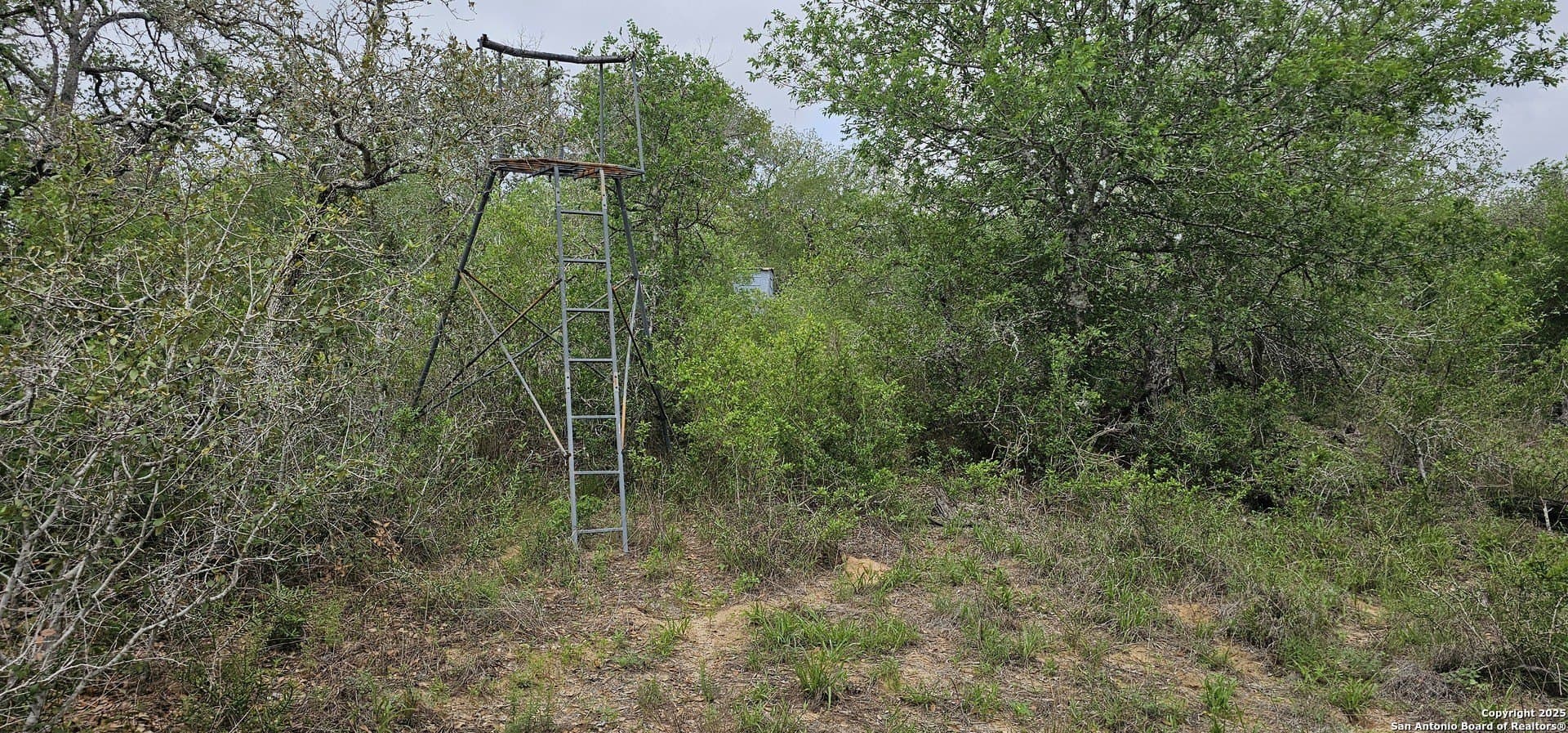 13.01 acres in Atascosa County - photo 4