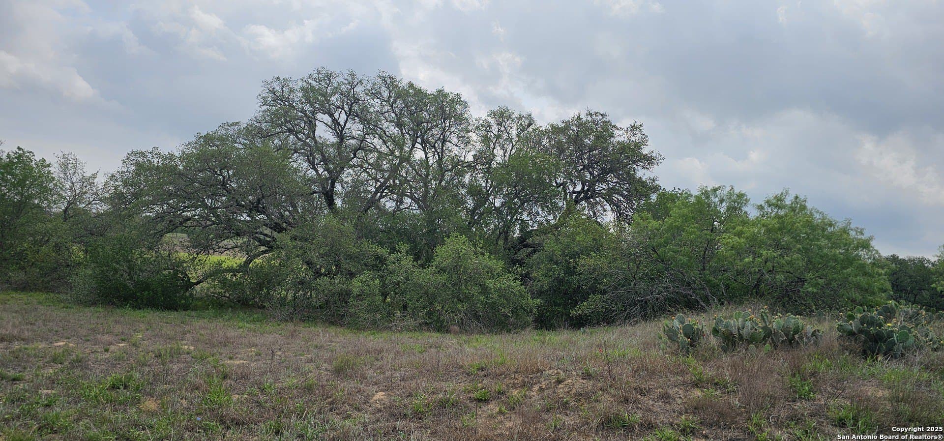 13.01 acres in Atascosa County - photo 38