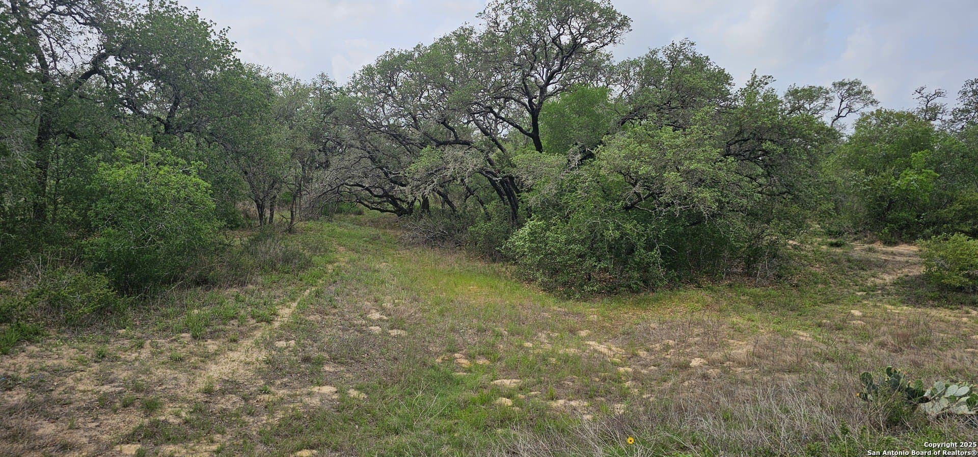 13.01 acres in Atascosa County - photo 10