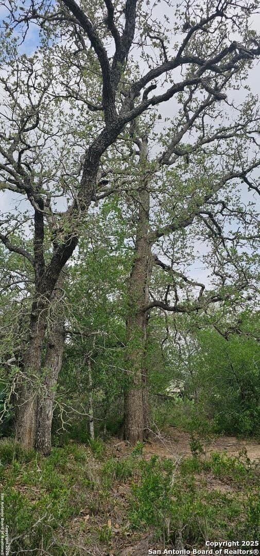 13.01 acres in Atascosa County - photo 24