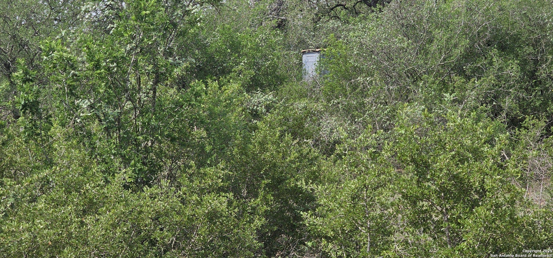 13.01 acres in Atascosa County - photo 13