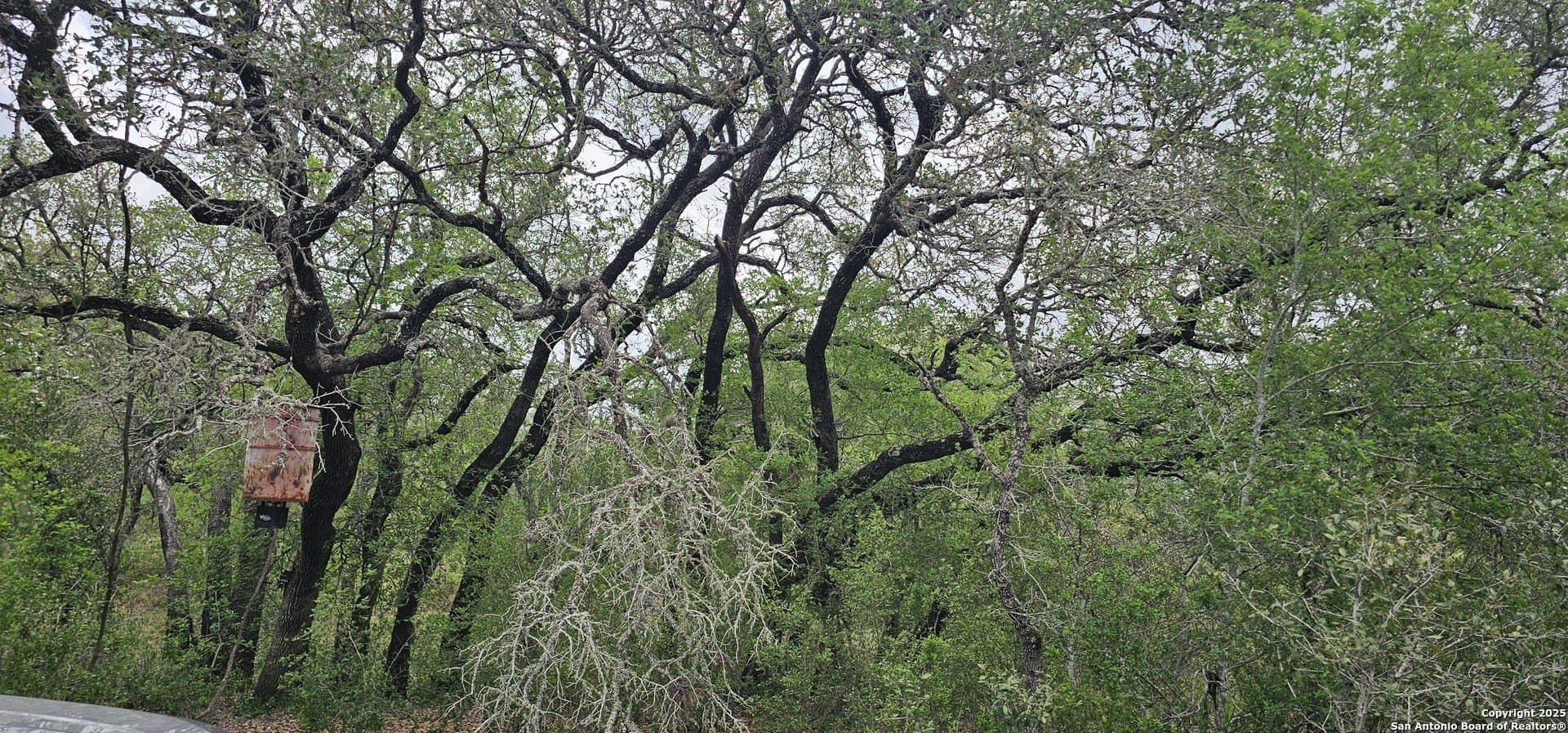 13.01 acres in Atascosa County - photo 6
