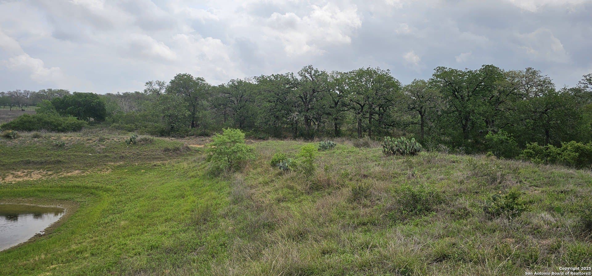 13.01 acres in Atascosa County - photo 7