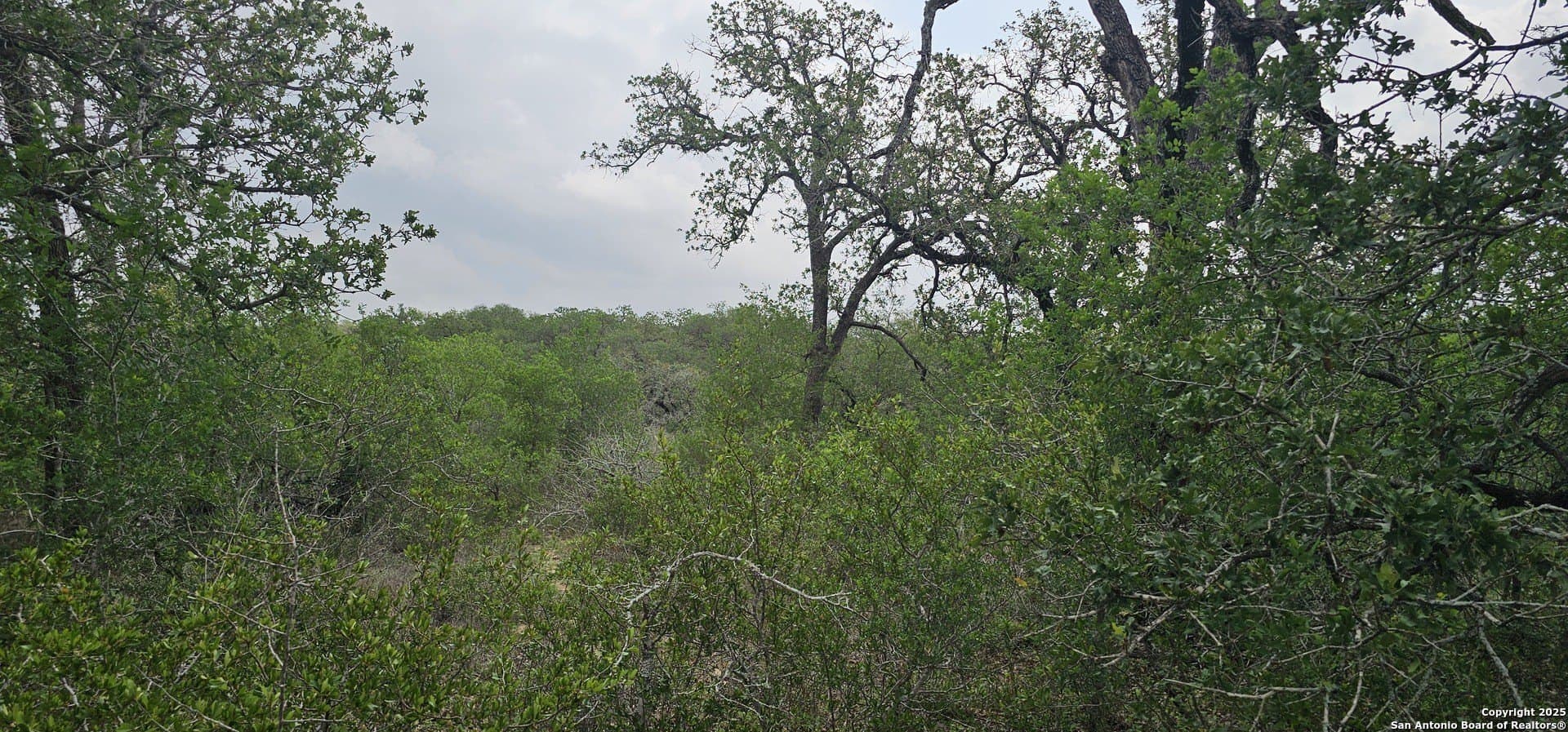13.01 acres in Atascosa County - photo 23