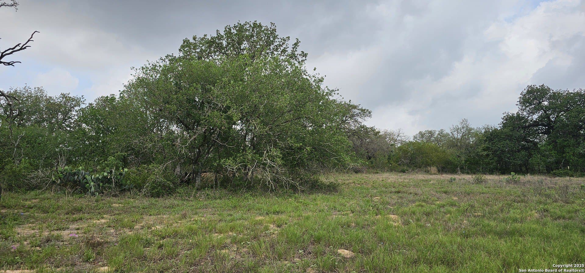 13.01 acres in Atascosa County - photo 37