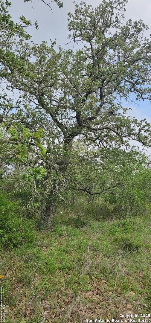 13.01 acres in Atascosa County - photo 21