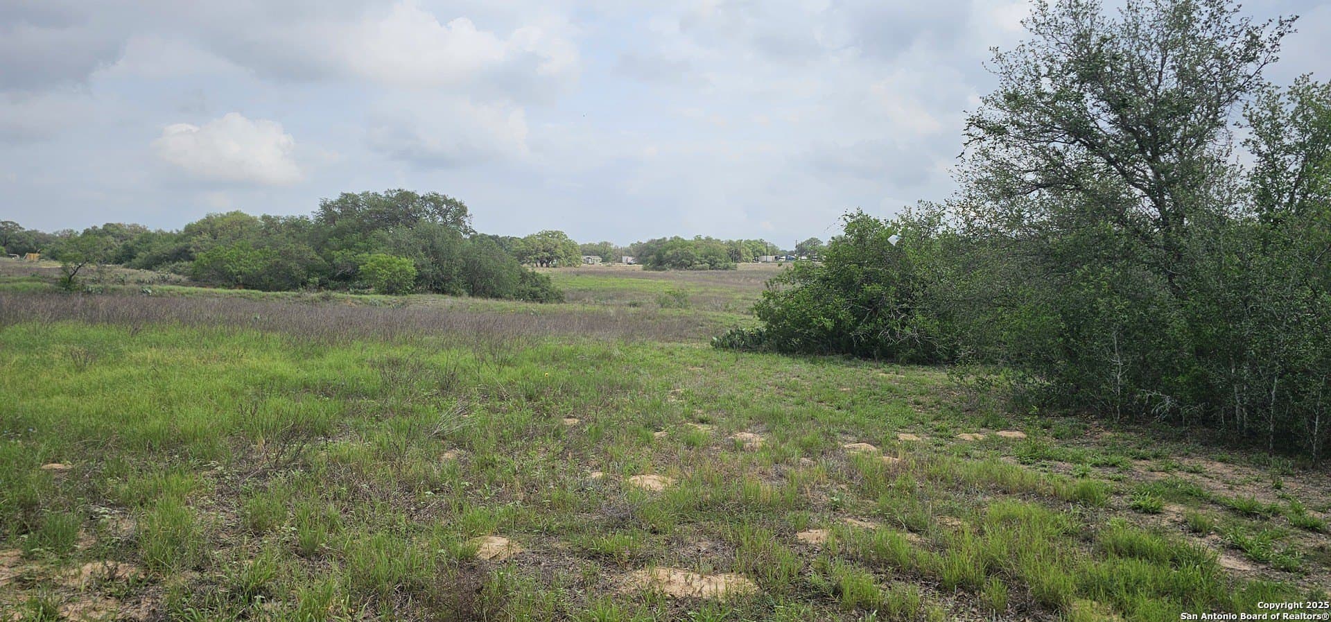 13.01 acres in Atascosa County - photo 16