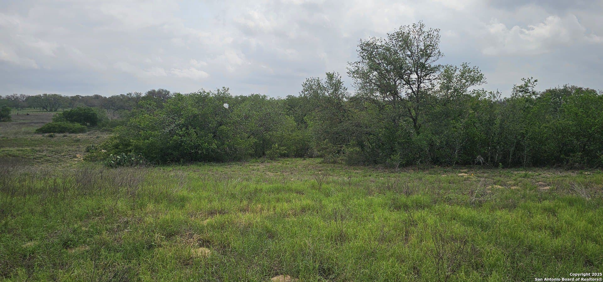 13.01 acres in Atascosa County - photo 28