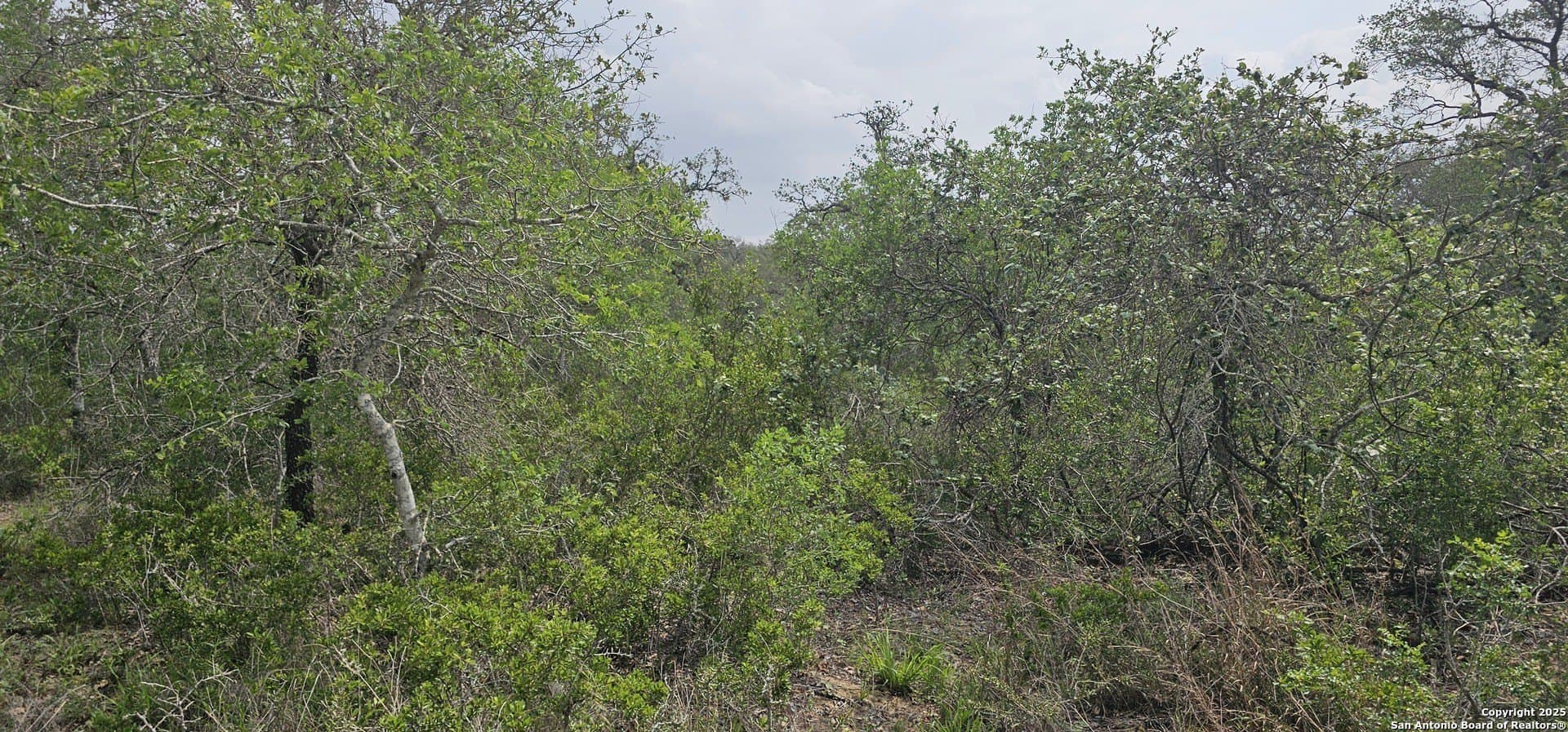 13.01 acres in Atascosa County - photo 20