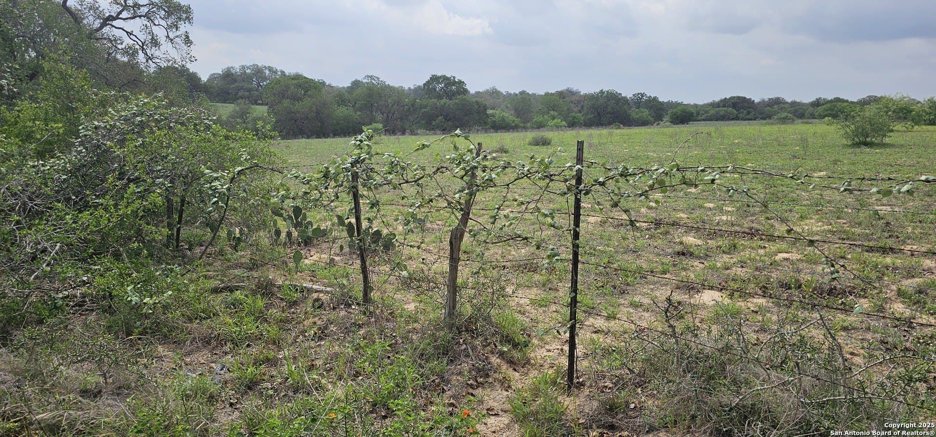 13.01 acres in Atascosa County - photo 19