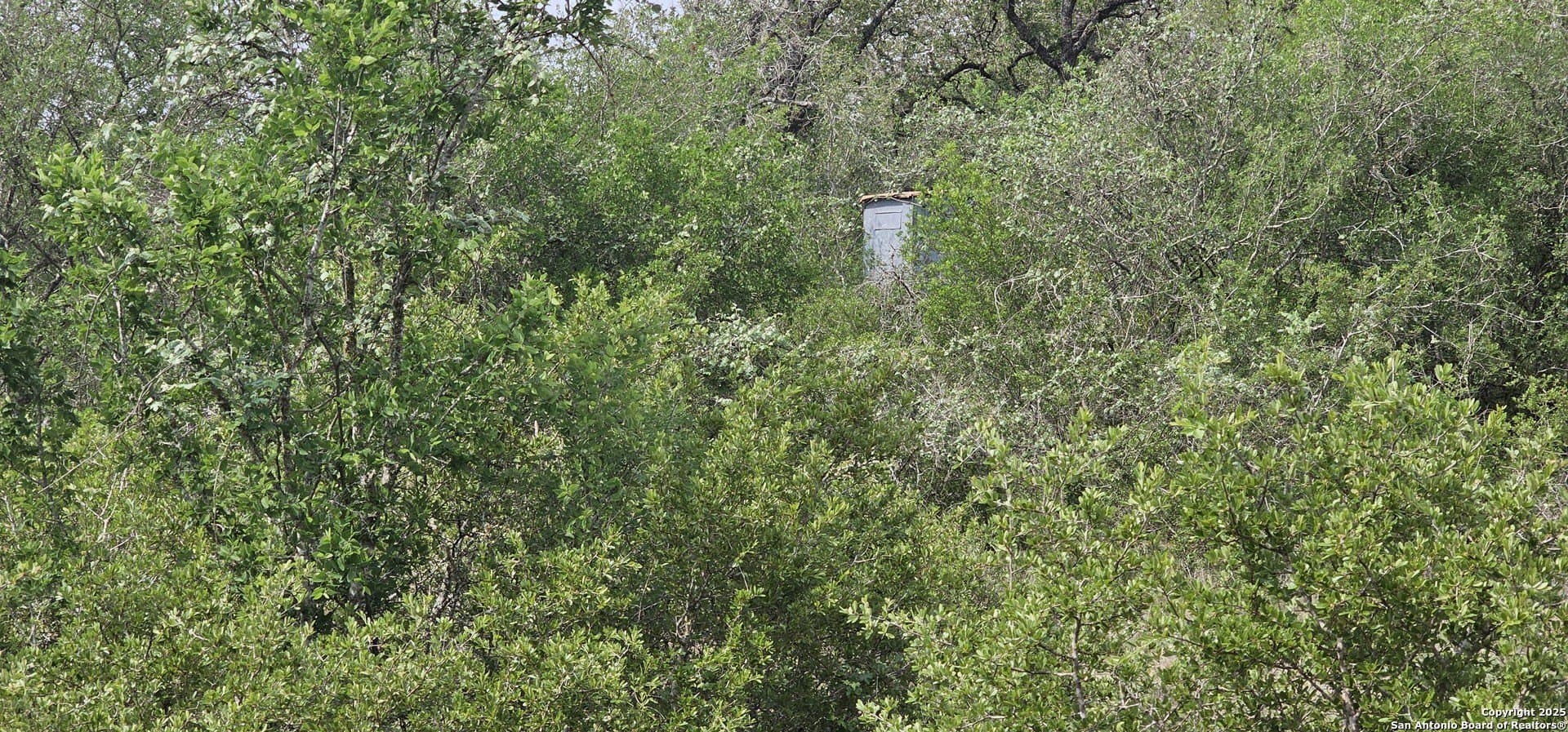 13.01 acres in Atascosa County - photo 14